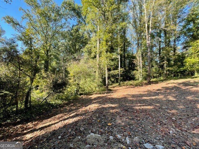 residential lot for sale at 447 Martindale Court, Stone Mountain, GA 30088 — photo 2