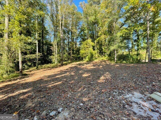 residential lot for sale at 447 Martindale Court, Stone Mountain, GA 30088 — photo 3