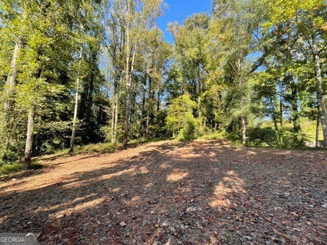 residential lot for sale at 447 Martindale Court, Stone Mountain, GA 30088 — photo 1 of 3