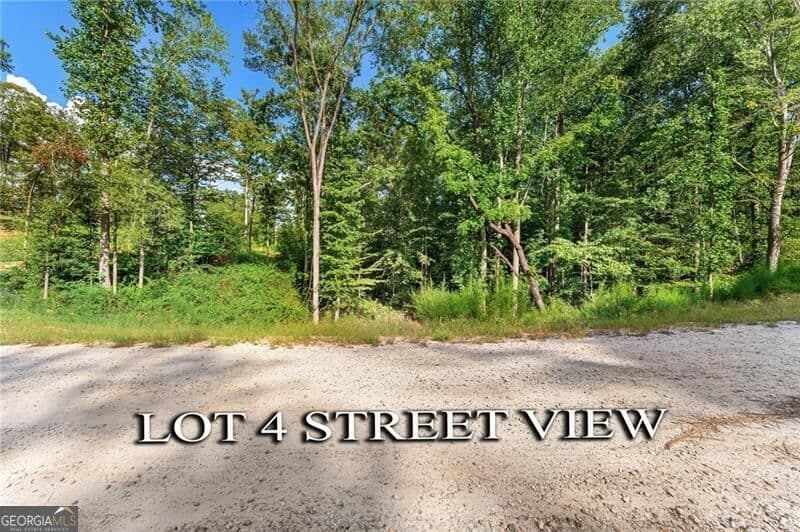 residential lot for sale at LOT 4 Stewart Loop, Jefferson, GA 30549 — photo 5