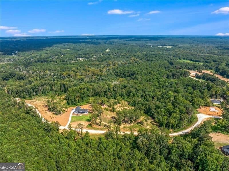 residential lot for sale at LOT 4 Stewart Loop, Jefferson, GA 30549 — photo 10