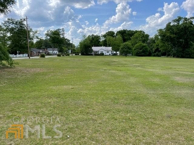 unimproved land for sale at 221 N Main Streets, Sylvania, GA 30467 — photo 9
