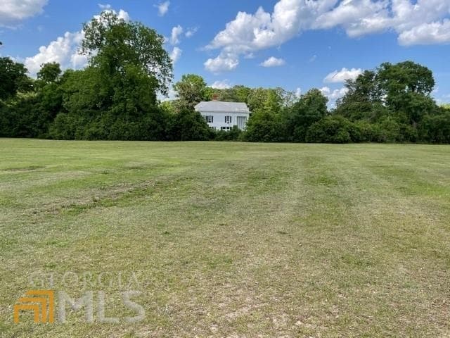 unimproved land for sale at 221 N Main Streets, Sylvania, GA 30467 — photo 10