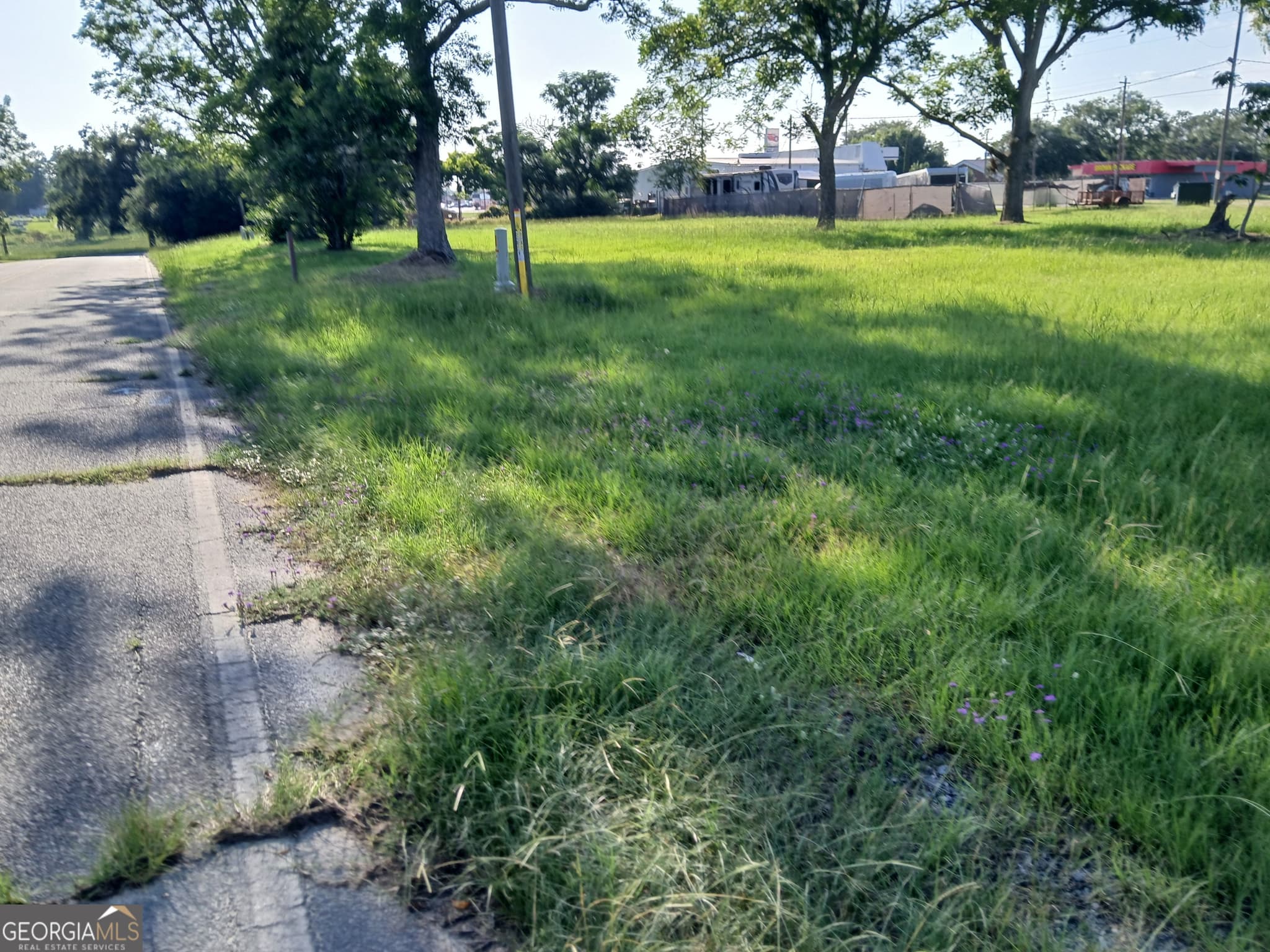 unimproved land for sale at 510 E.7th, Alma, GA 31510 — photo 5