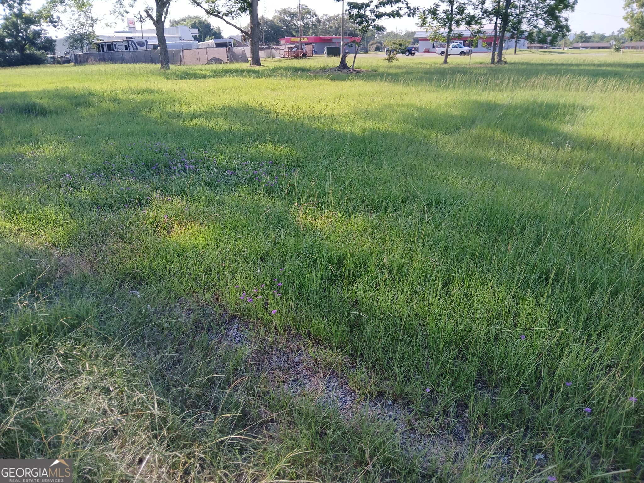 unimproved land for sale at 510 E.7th, Alma, GA 31510 — photo 8