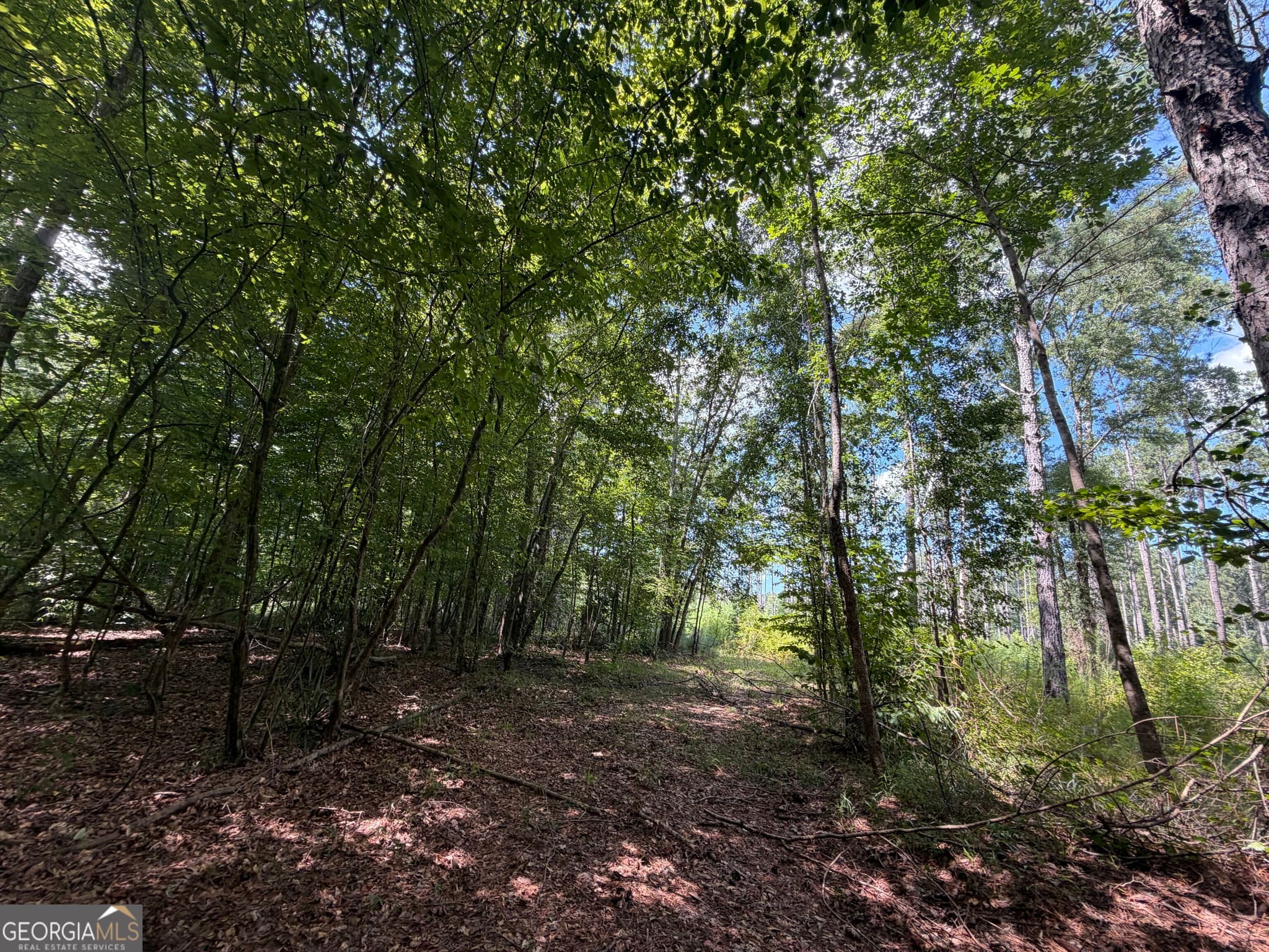 unimproved land for sale at 10 Sunhill Grange Road, Davisboro, GA 31018 — photo 6