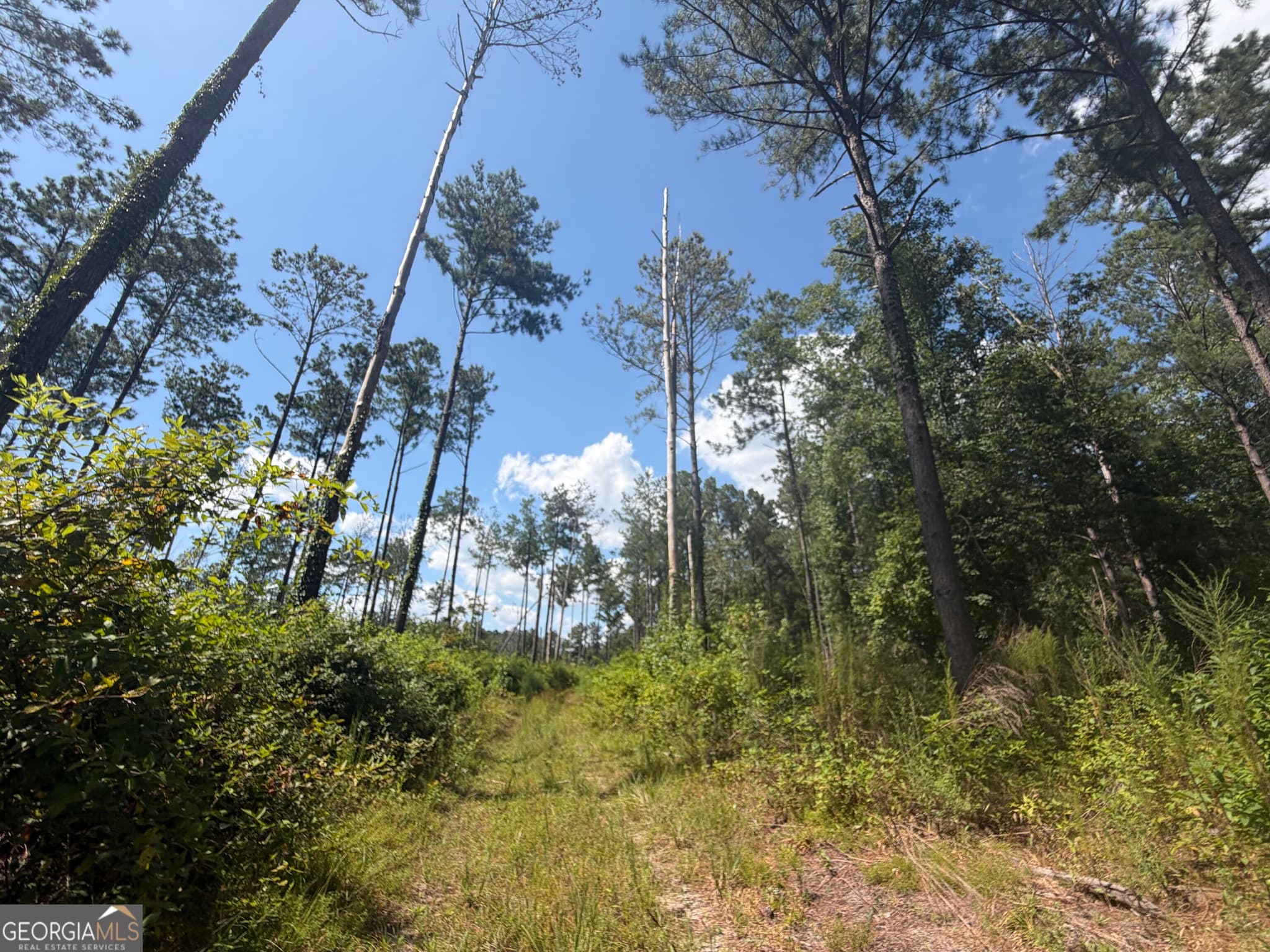 unimproved land for sale at 10 Sunhill Grange Road, Davisboro, GA 31018 — photo 7