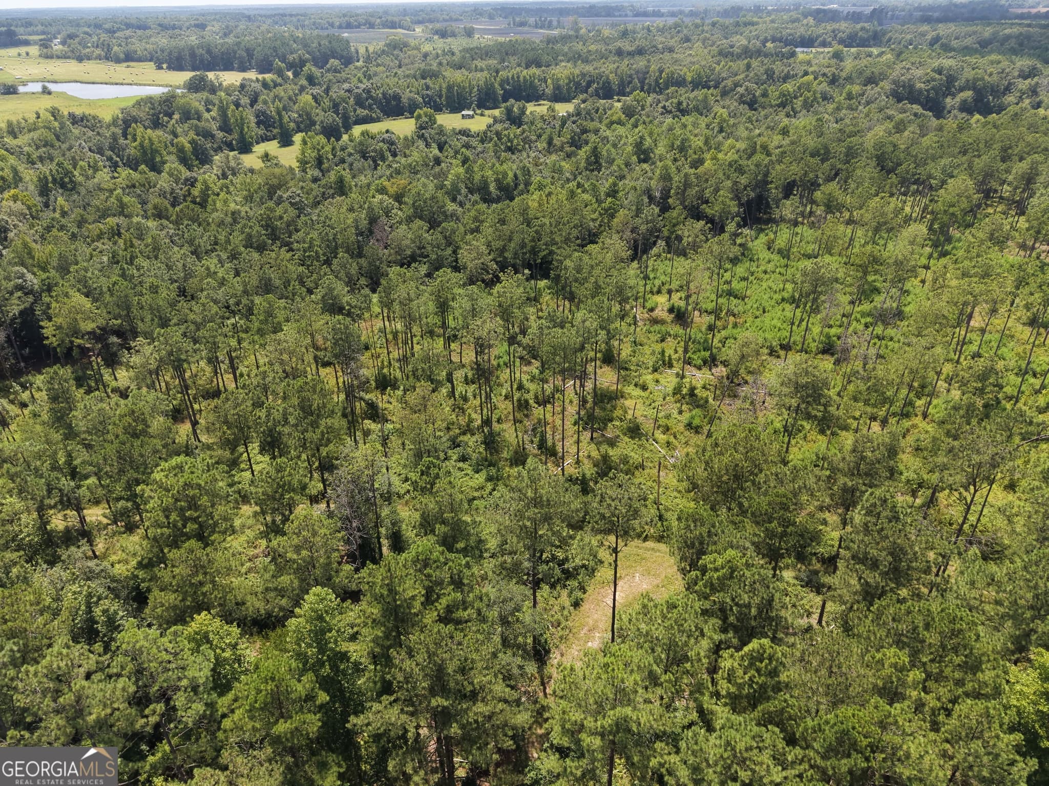 unimproved land for sale at 10 Sunhill Grange Road, Davisboro, GA 31018 — photo 3
