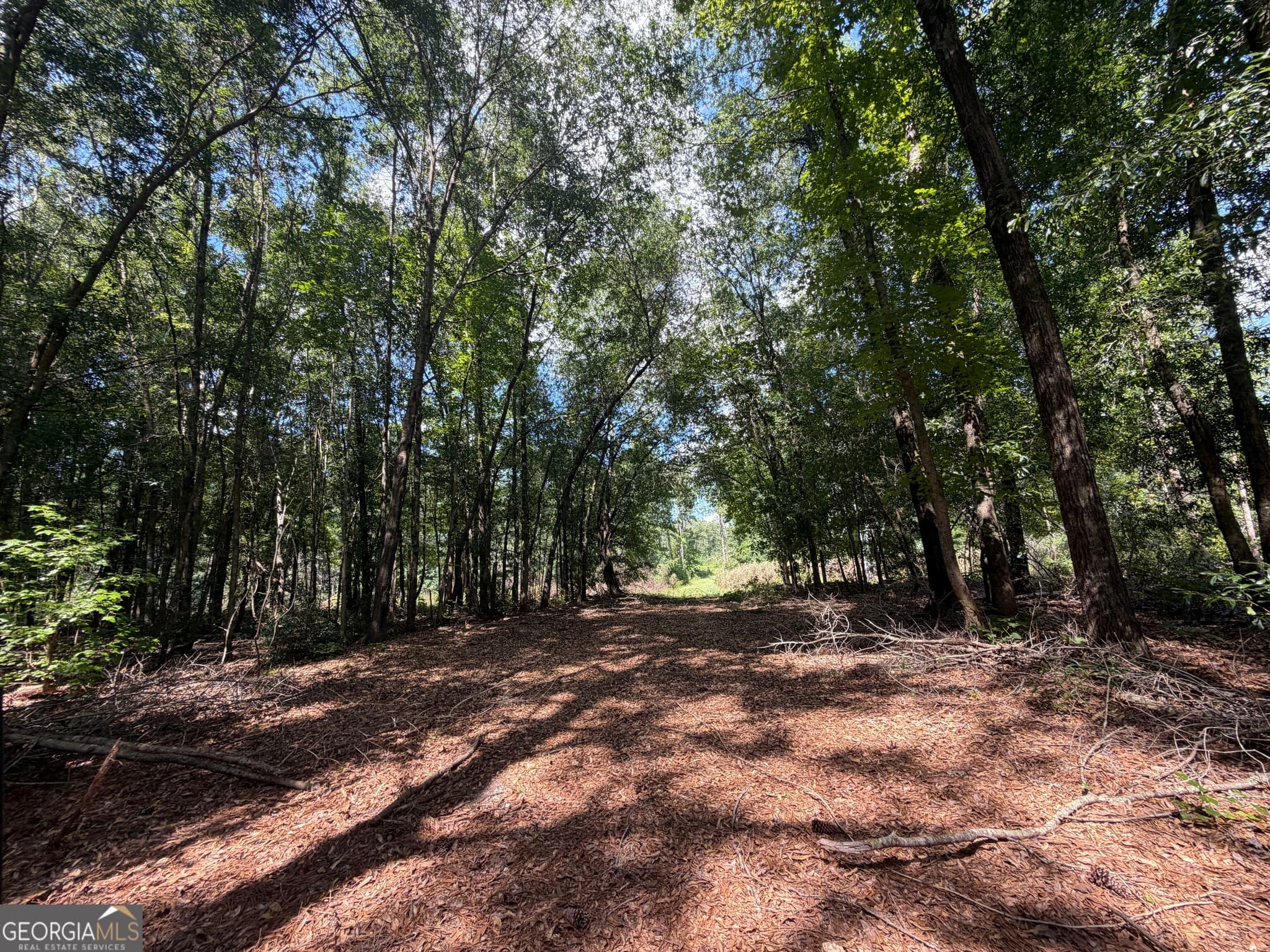 unimproved land for sale at 10 Sunhill Grange Road, Davisboro, GA 31018 — photo 1 of 32