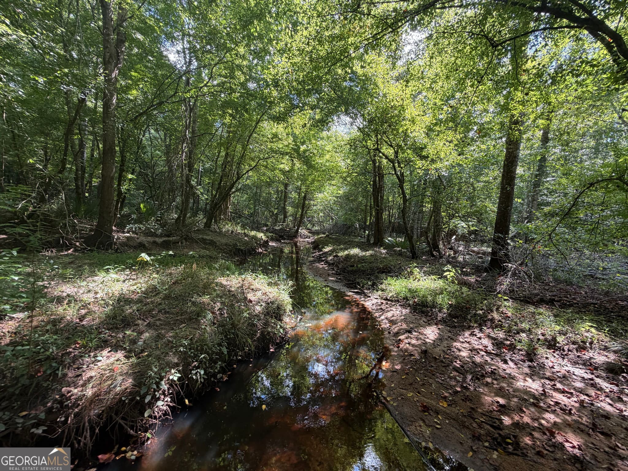 unimproved land for sale at 10 Sunhill Grange Road, Davisboro, GA 31018 — photo 5