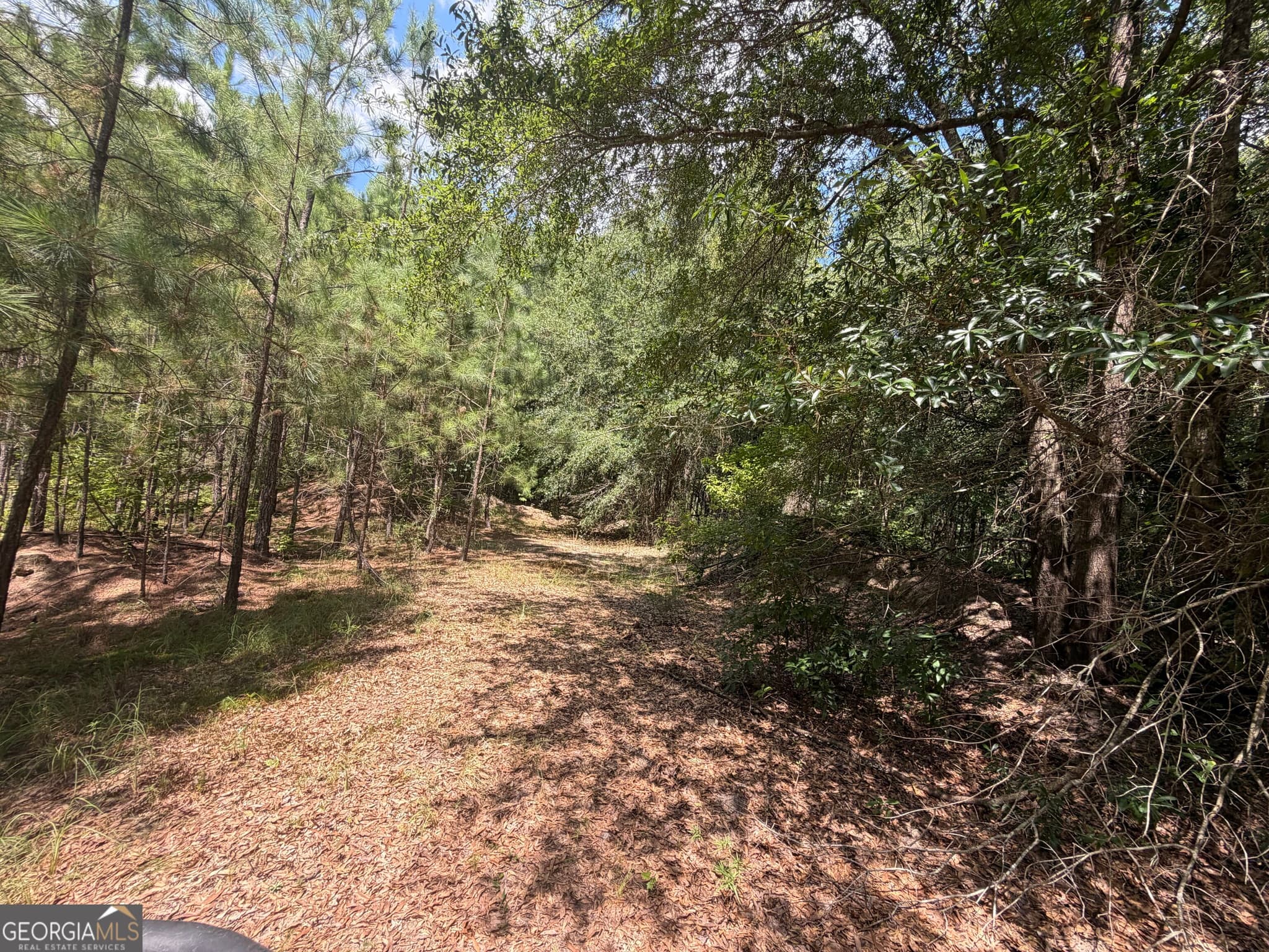 unimproved land for sale at 10 Sunhill Grange Road, Davisboro, GA 31018 — photo 9