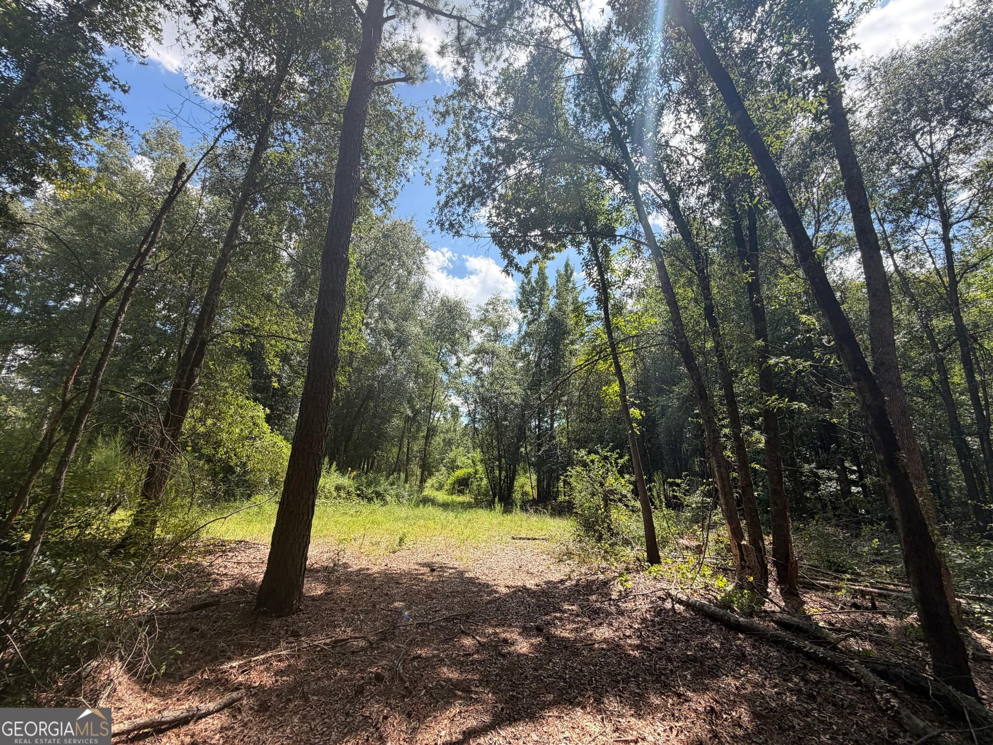 unimproved land for sale at 10 Sunhill Grange Road, Davisboro, GA 31018 — photo 10
