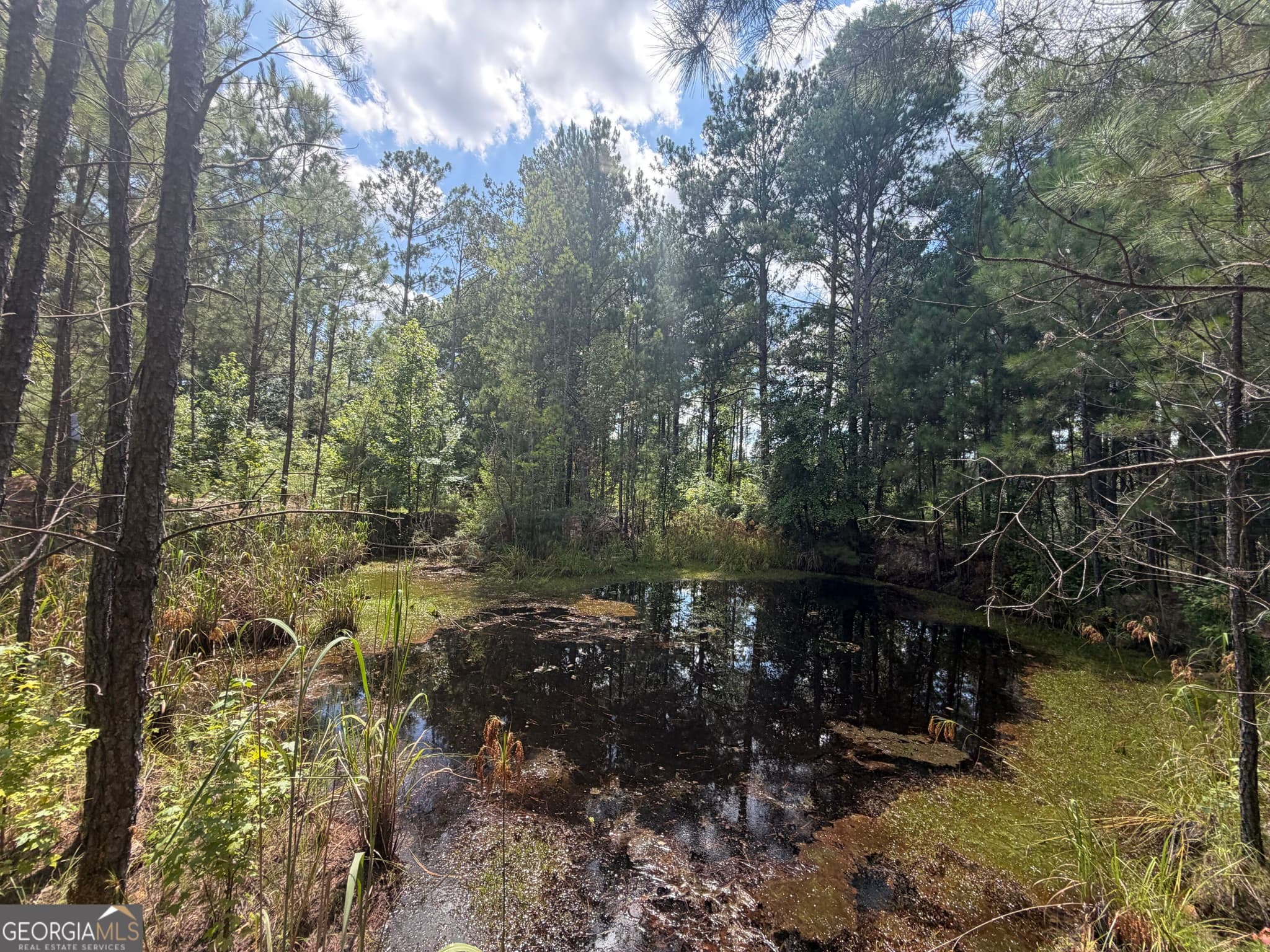 unimproved land for sale at 10 Sunhill Grange Road, Davisboro, GA 31018 — photo 4