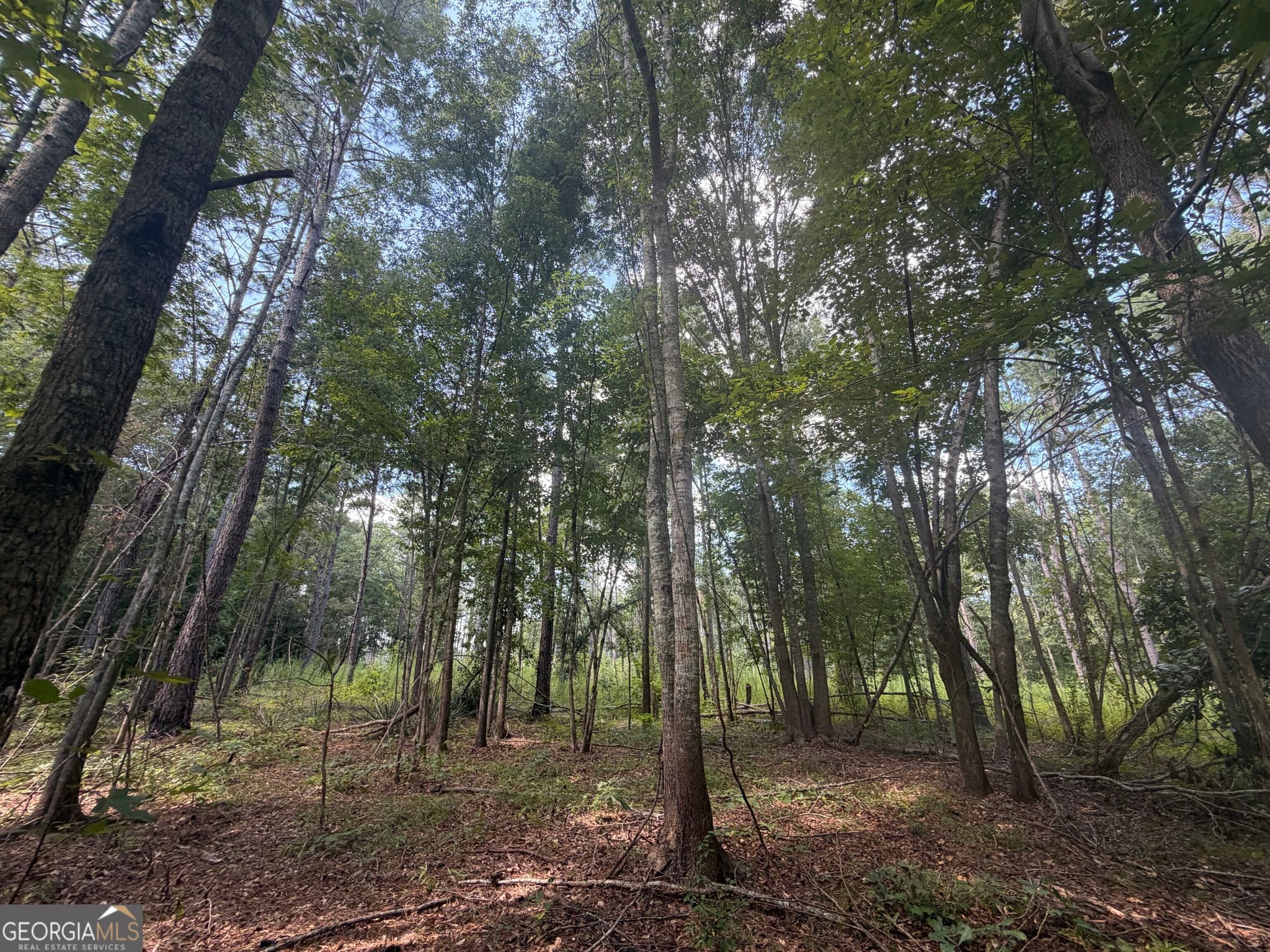 unimproved land for sale at 10 Sunhill Grange Road, Davisboro, GA 31018 — photo 8