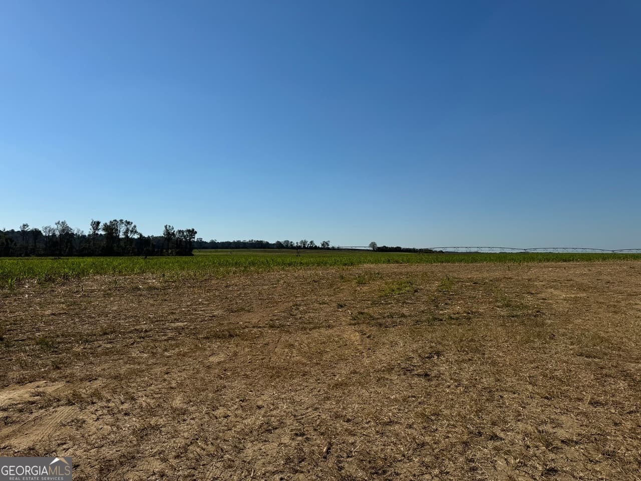 unimproved land for sale at 0 Pinetucky Road, Wadley, GA 30477 — photo 2