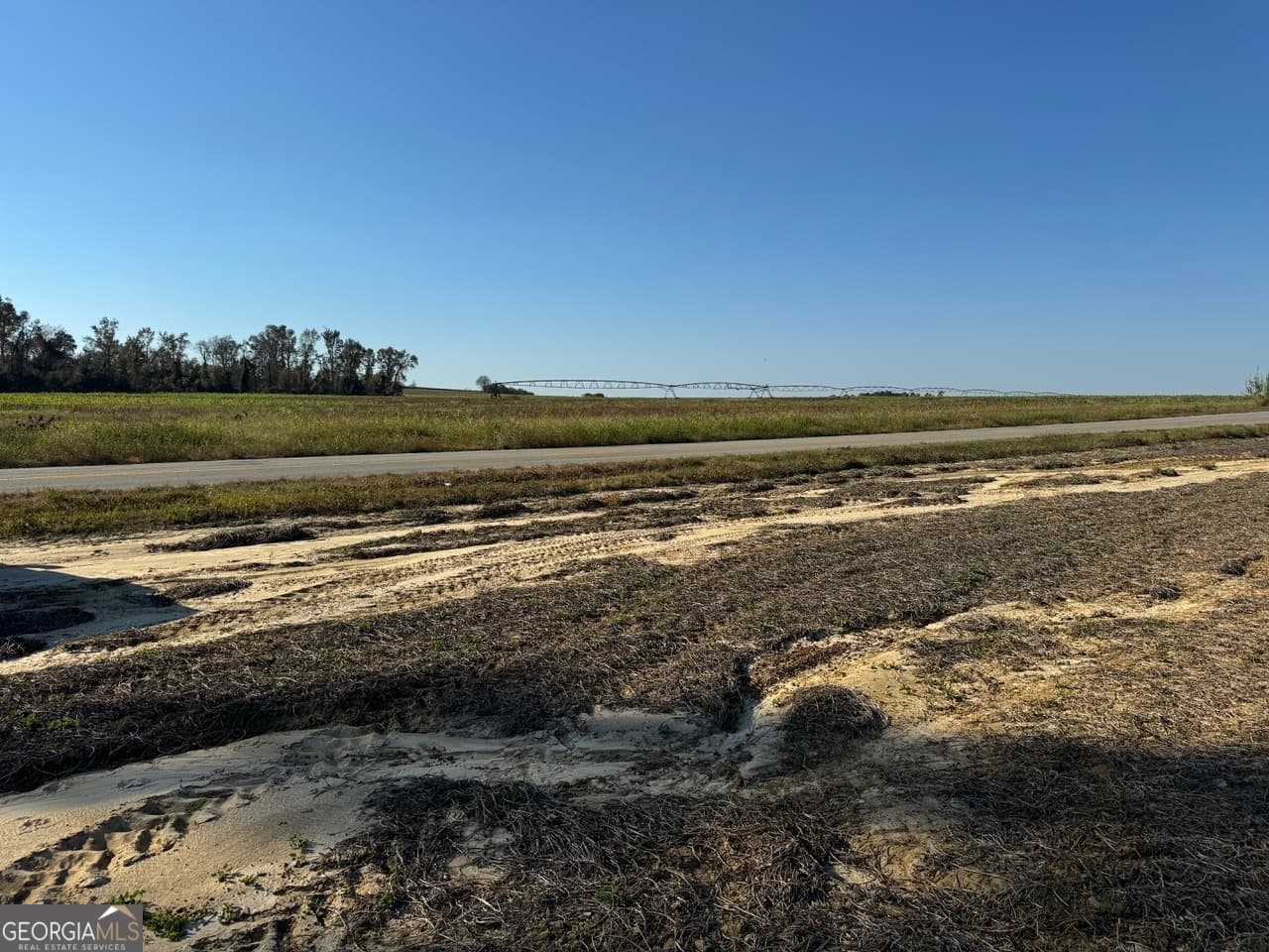 unimproved land for sale at 0 Pinetucky Road, Wadley, GA 30477 — photo 6