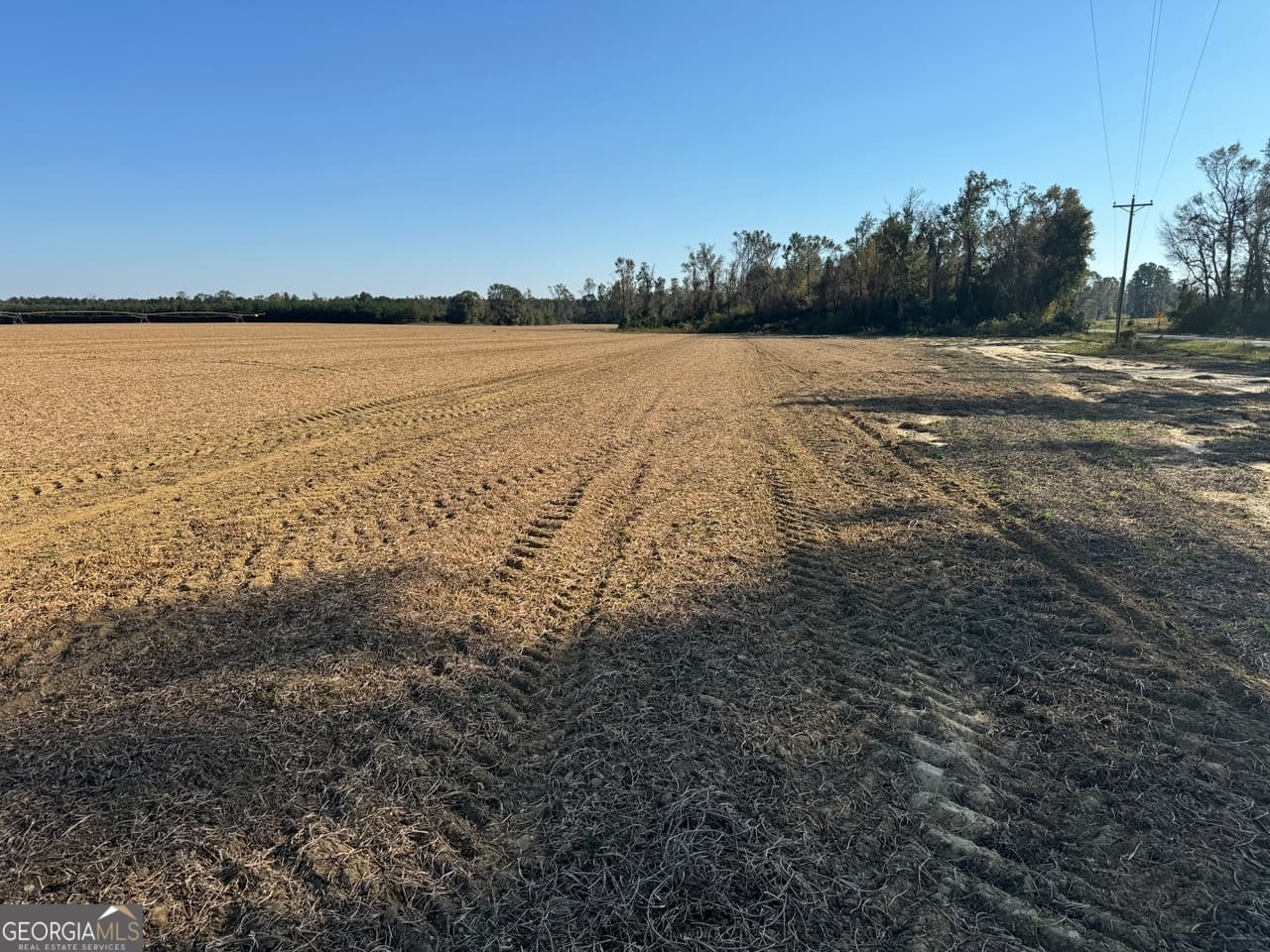 unimproved land for sale at 0 Pinetucky Road, Wadley, GA 30477 — photo 7