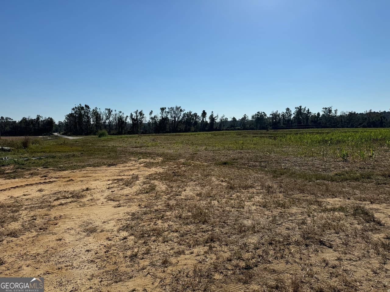 unimproved land for sale at 0 Pinetucky Road, Wadley, GA 30477 — photo 3