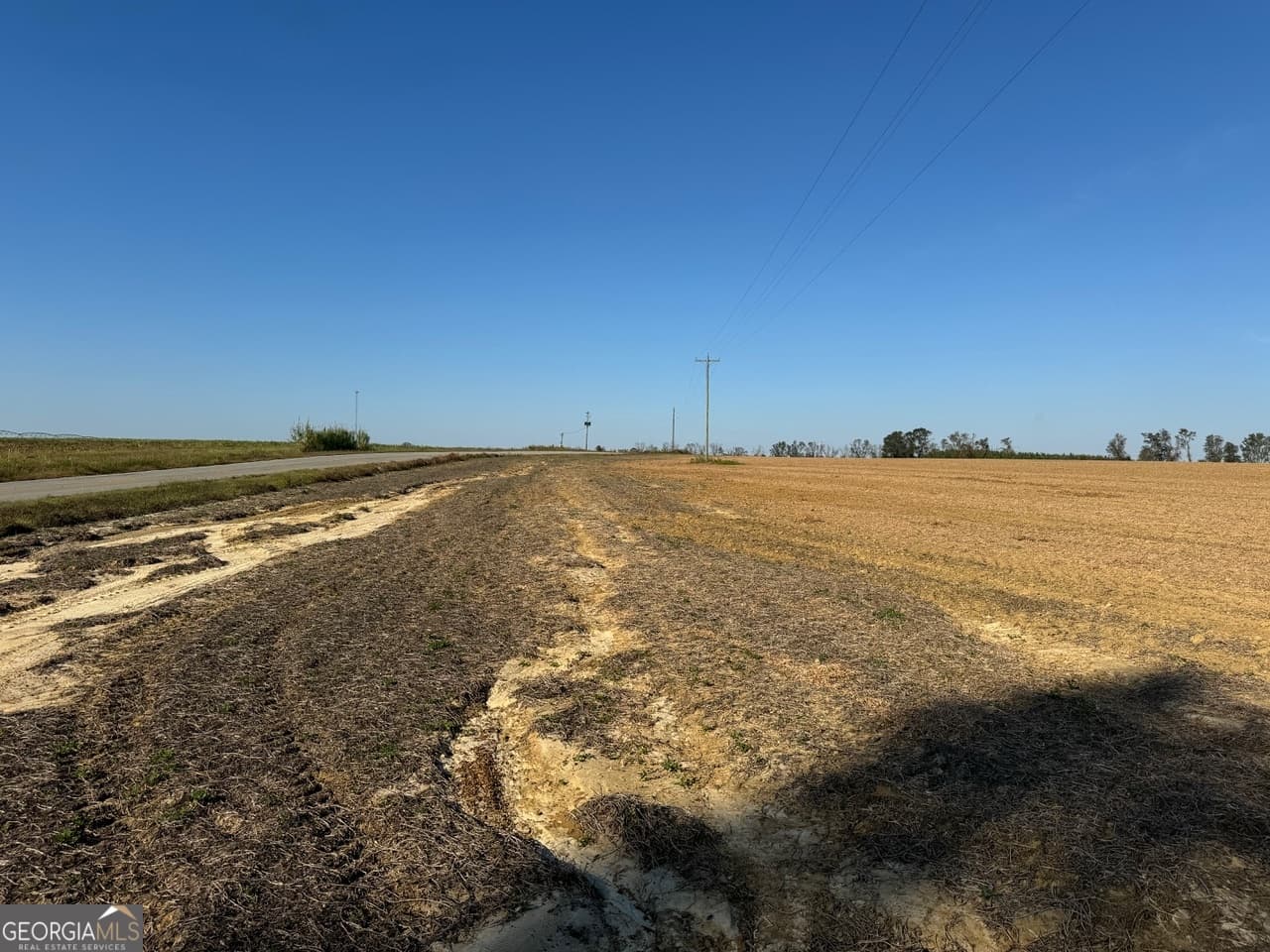 unimproved land for sale at 0 Pinetucky Road, Wadley, GA 30477 — photo 5