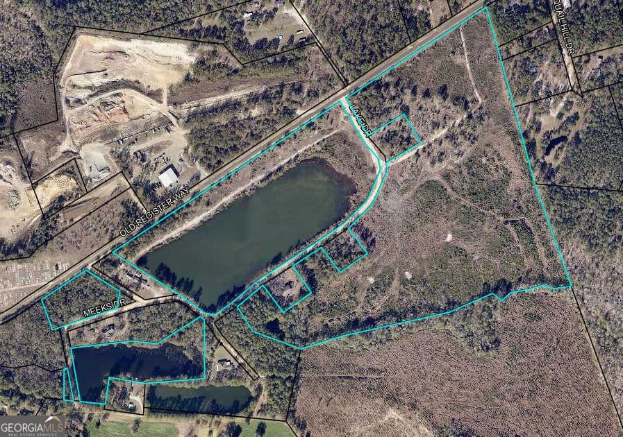agriculture for sale at 83.017 ACRES Register Road, Statesboro, GA 30458