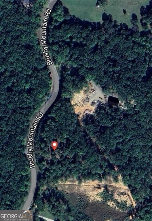 unimproved land for sale at 0 BRUSHY MOUNTAIN Road, Rockmart, GA 30153 — photo 2