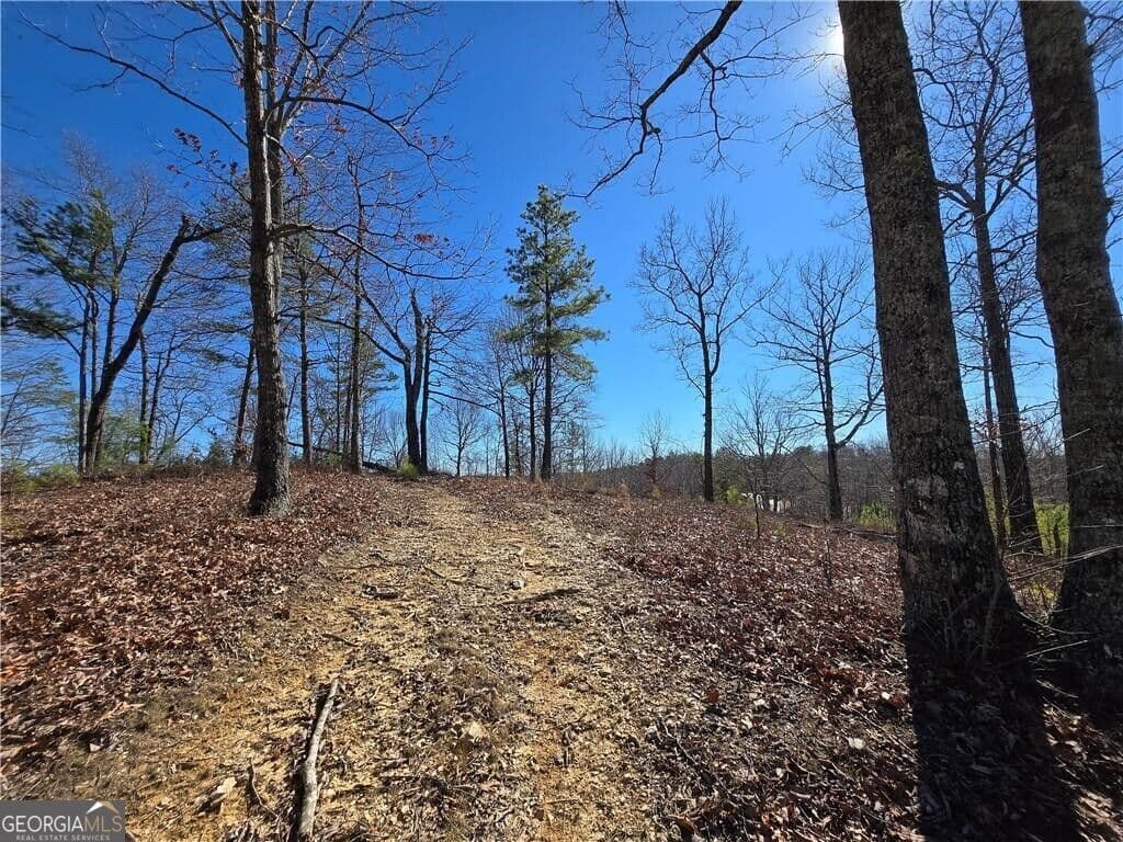 unimproved land for sale at 0 BRUSHY MOUNTAIN Road, Rockmart, GA 30153 — photo 6