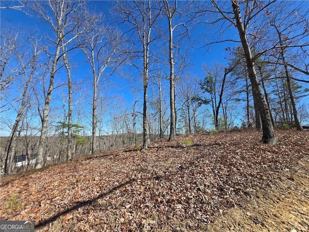 unimproved land for sale at 0 BRUSHY MOUNTAIN Road, Rockmart, GA 30153 — photo 7