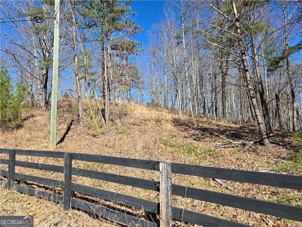 unimproved land for sale at 0 BRUSHY MOUNTAIN Road, Rockmart, GA 30153 — photo 3