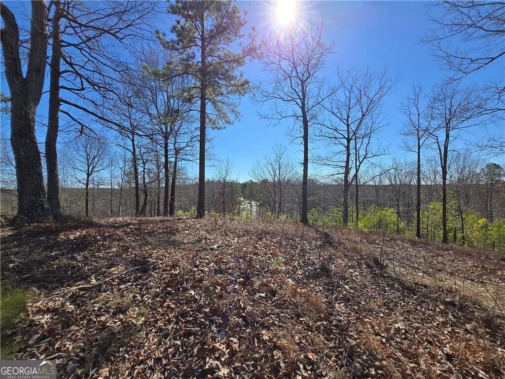 unimproved land for sale at 0 BRUSHY MOUNTAIN Road, Rockmart, GA 30153 — photo 1 of 10