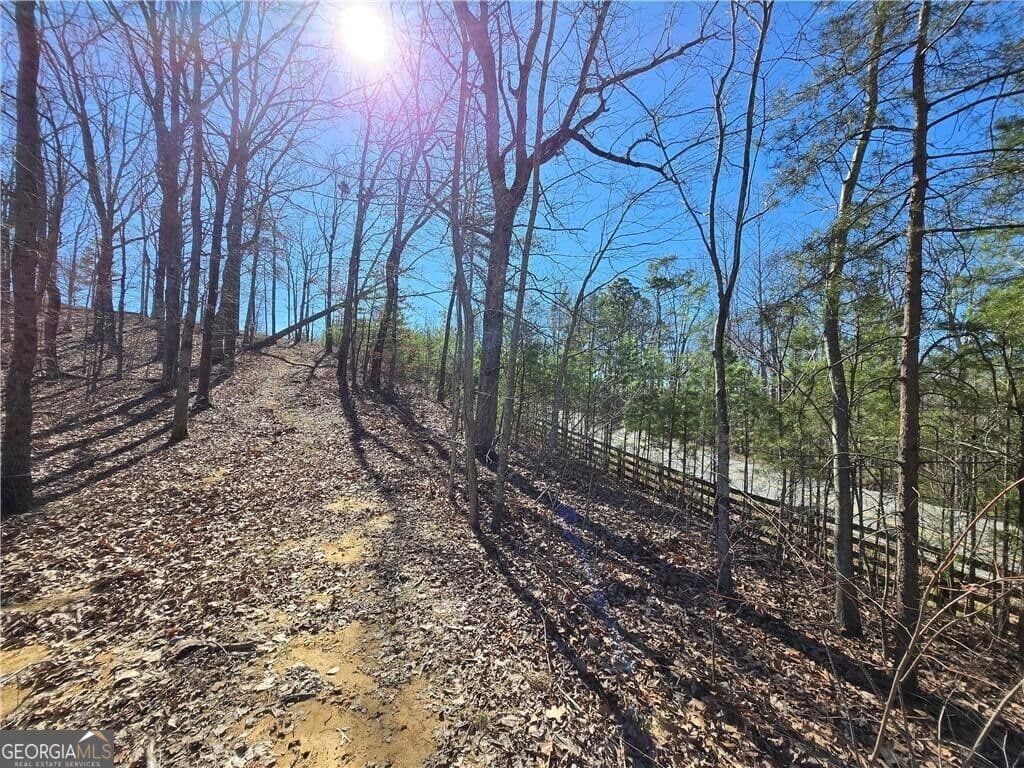 unimproved land for sale at 0 BRUSHY MOUNTAIN Road, Rockmart, GA 30153 — photo 5