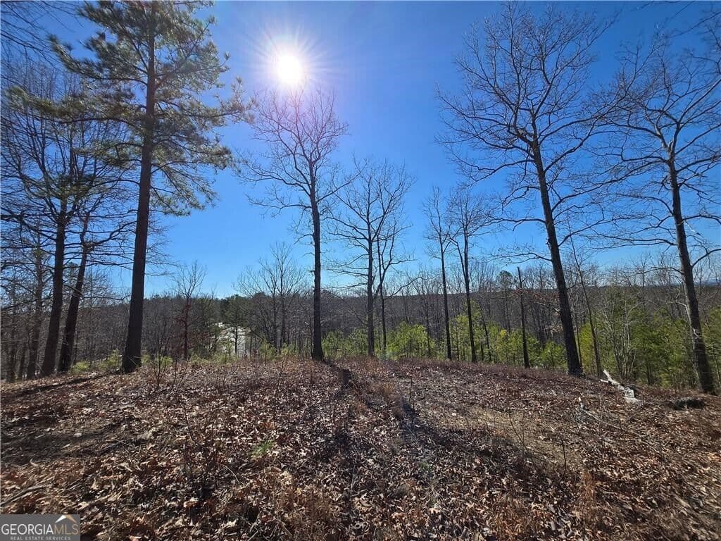 unimproved land for sale at 0 BRUSHY MOUNTAIN Road, Rockmart, GA 30153 — photo 9