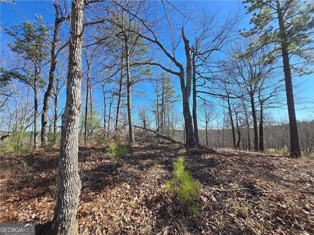 unimproved land for sale at 0 BRUSHY MOUNTAIN Road, Rockmart, GA 30153 — photo 10