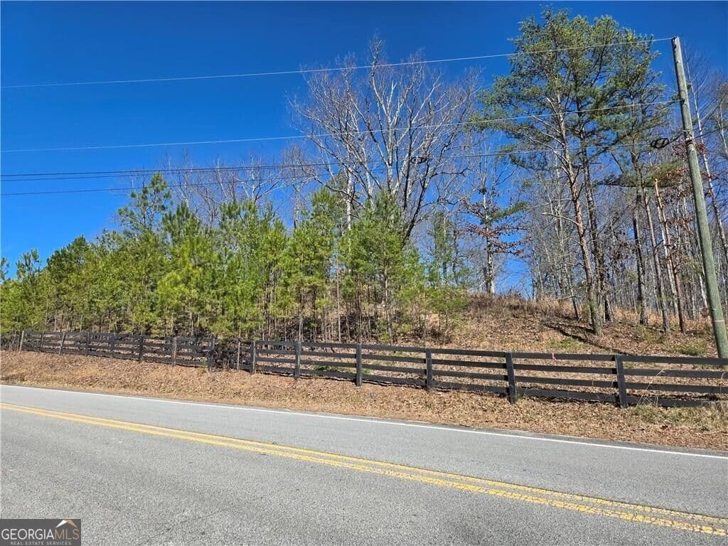 unimproved land for sale at 0 BRUSHY MOUNTAIN Road, Rockmart, GA 30153 — photo 4