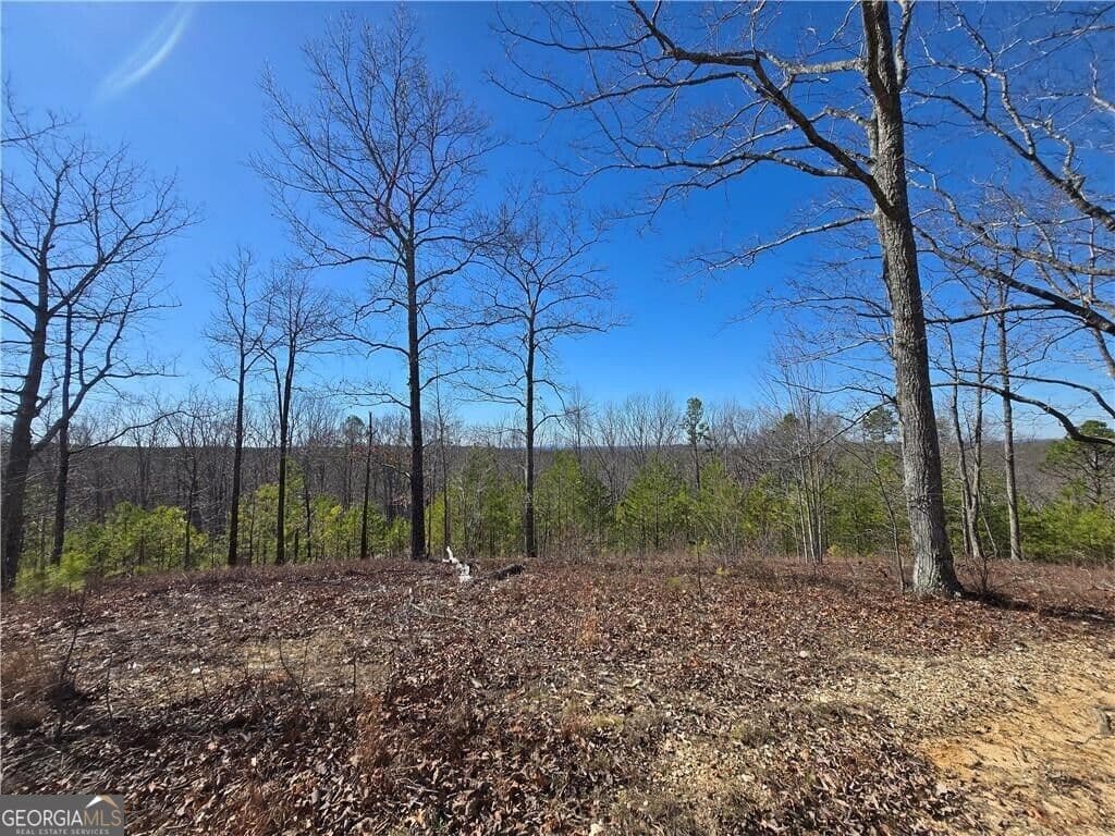 unimproved land for sale at 0 BRUSHY MOUNTAIN Road, Rockmart, GA 30153 — photo 8