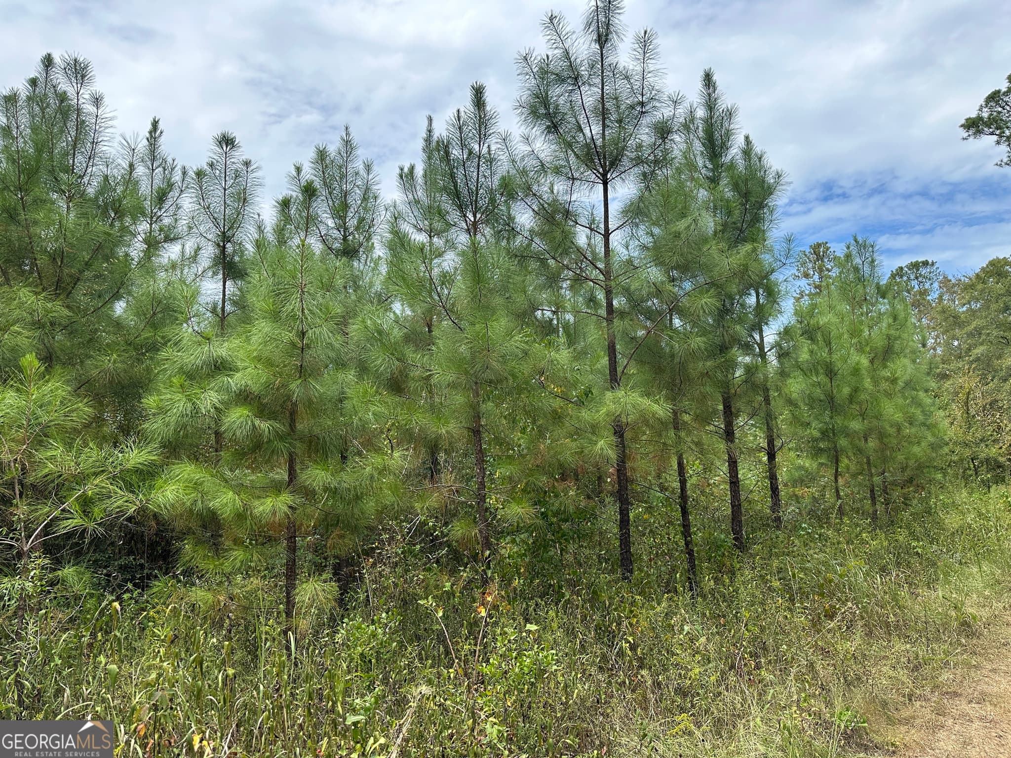 agriculture sold at PARCEL #2 Tuck Persons Highway 76.6 ACRES, Talbotton, GA 31827