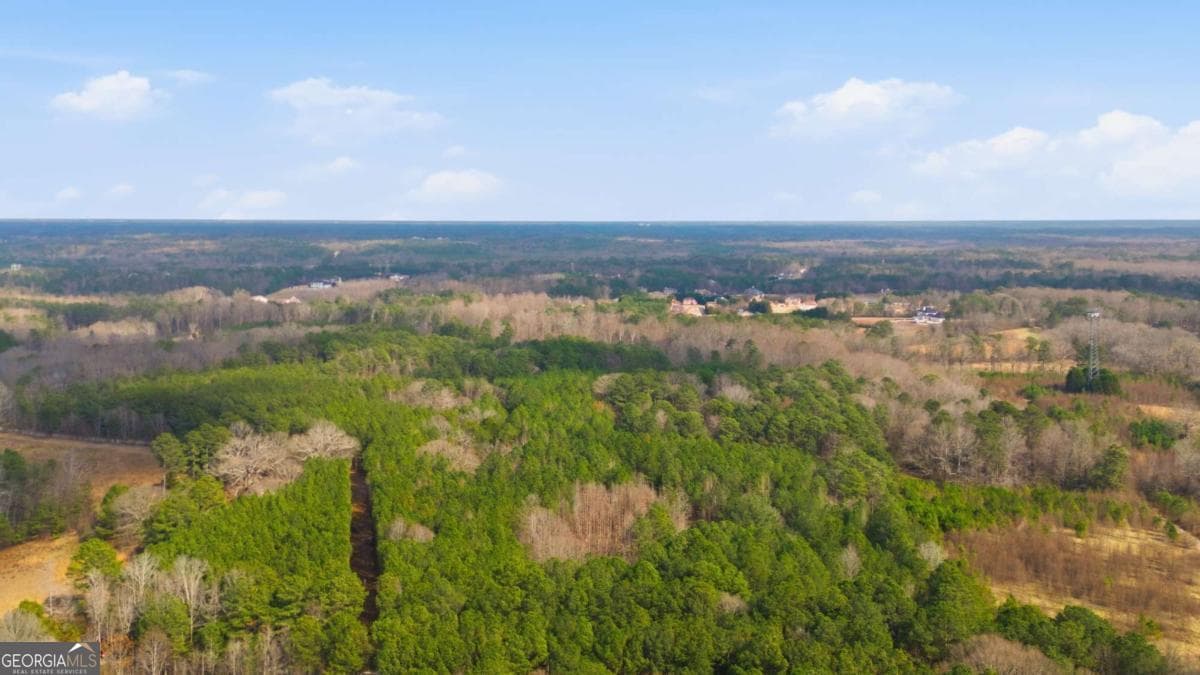 unimproved land for sale at 313 Wagon Wheel Trail, Fayetteville, GA 30214 — photo 2
