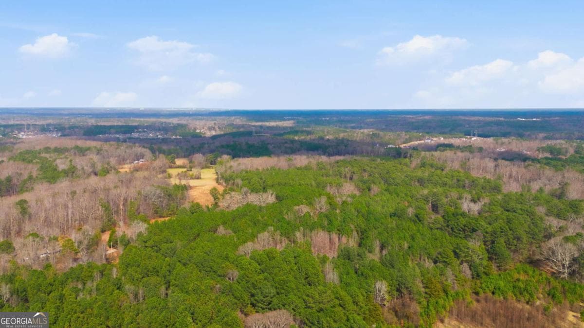 unimproved land for sale at 313 Wagon Wheel Trail, Fayetteville, GA 30214 — photo 7