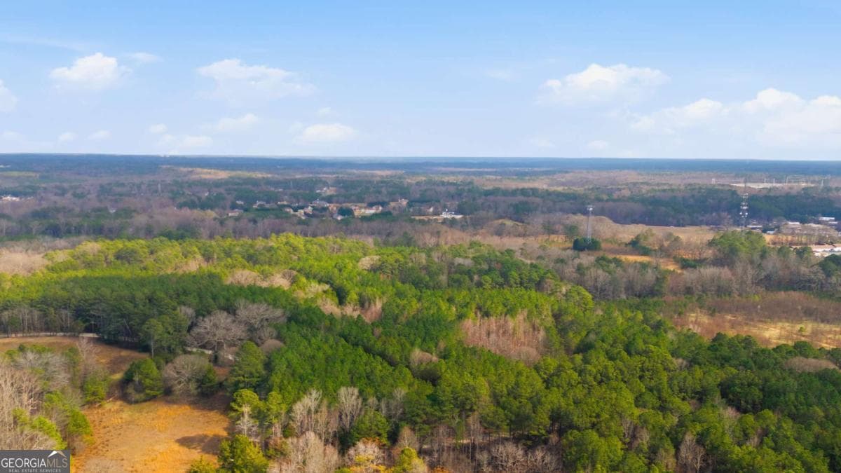 unimproved land for sale at 313 Wagon Wheel Trail, Fayetteville, GA 30214 — photo 3