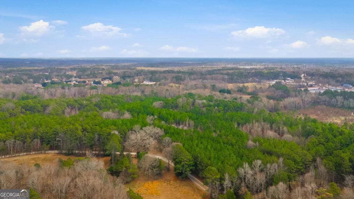 unimproved land for sale at 313 Wagon Wheel Trail, Fayetteville, GA 30214 — photo 5