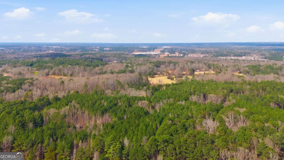 unimproved land for sale at 313 Wagon Wheel Trail, Fayetteville, GA 30214 — photo 4