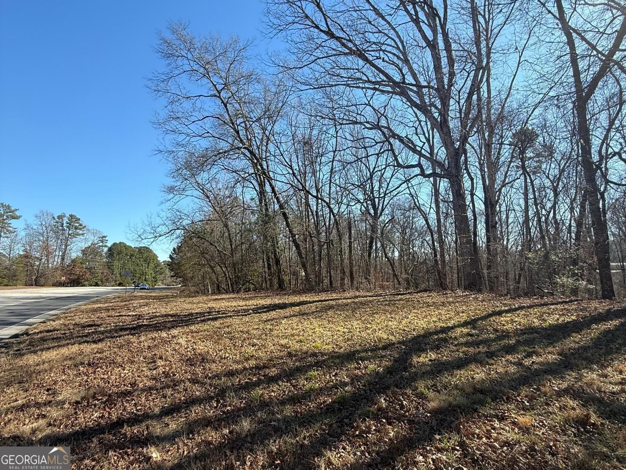 unimproved land for sale at 3197 Thompson Bridge Road, Gainesville, GA 30506 — photo 6