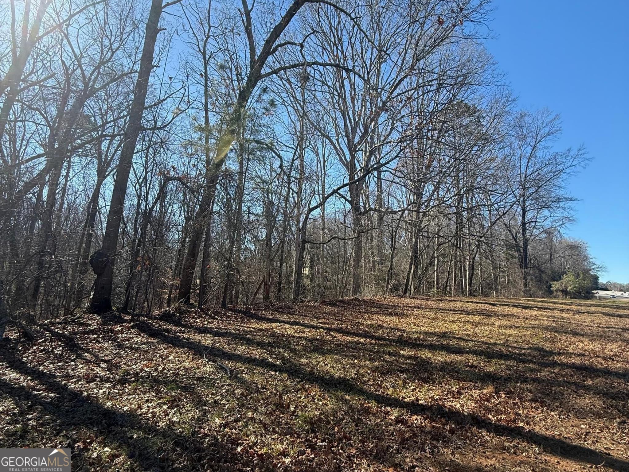 unimproved land for sale at 3197 Thompson Bridge Road, Gainesville, GA 30506 — photo 5