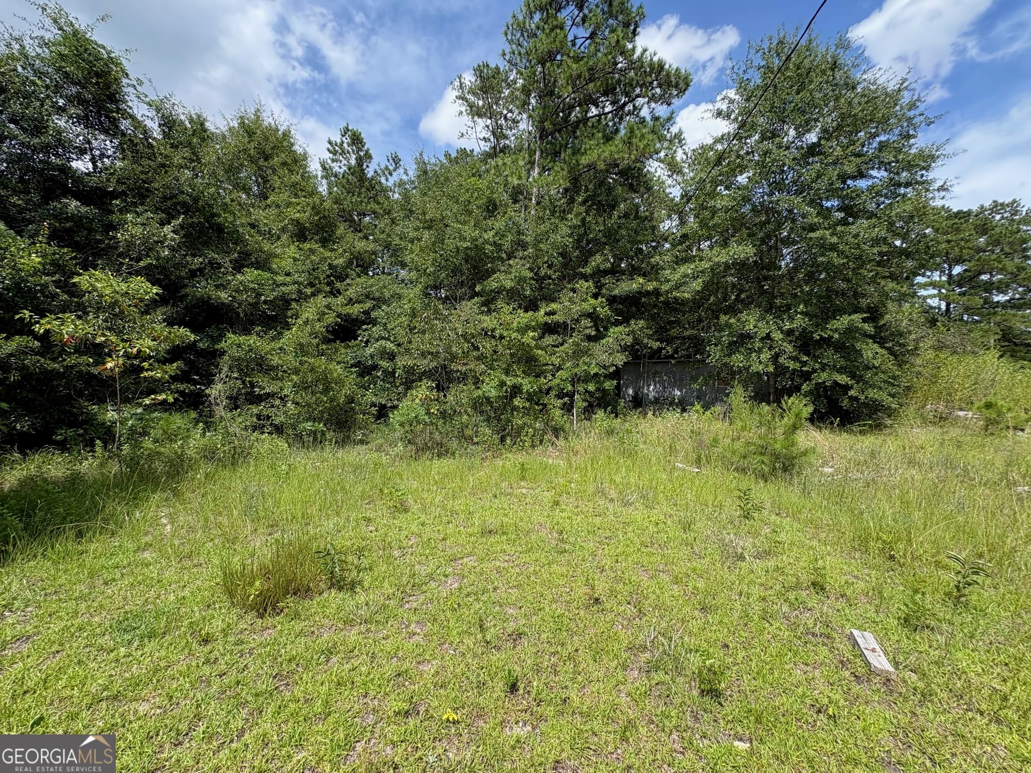 residential lot for sale at 4089 Jordan Road, Byron, GA 31008 — photo 10