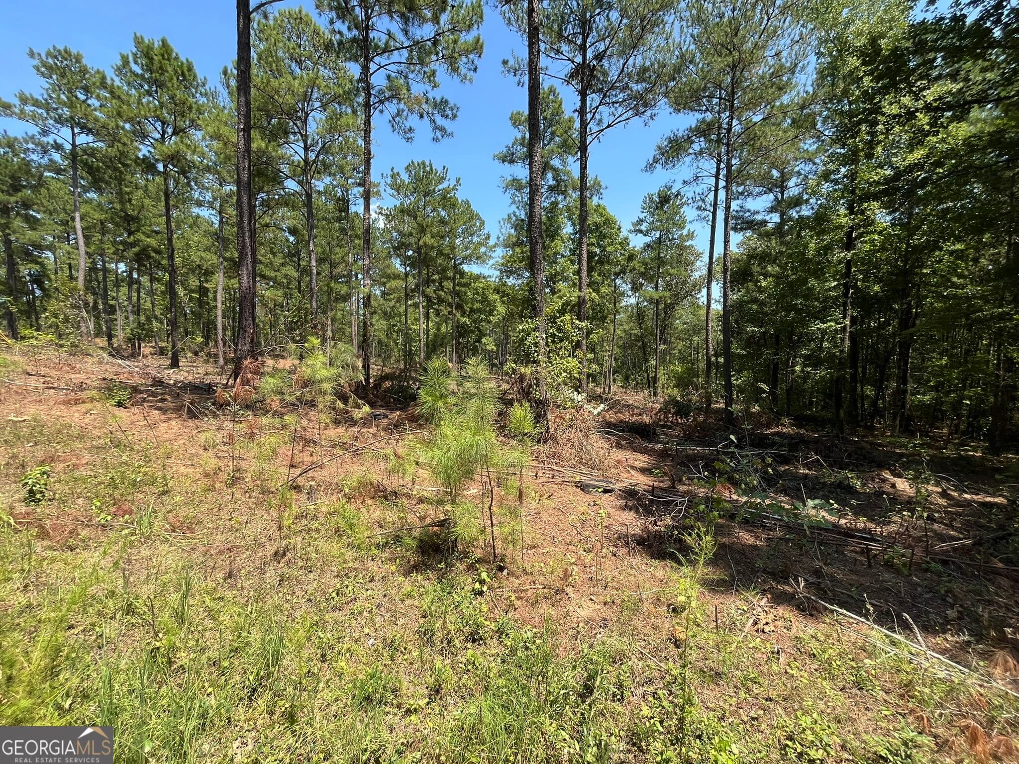 residential lot for sale at LOT 22 Gordon Road, Forsyth, GA 31029 — photo 2