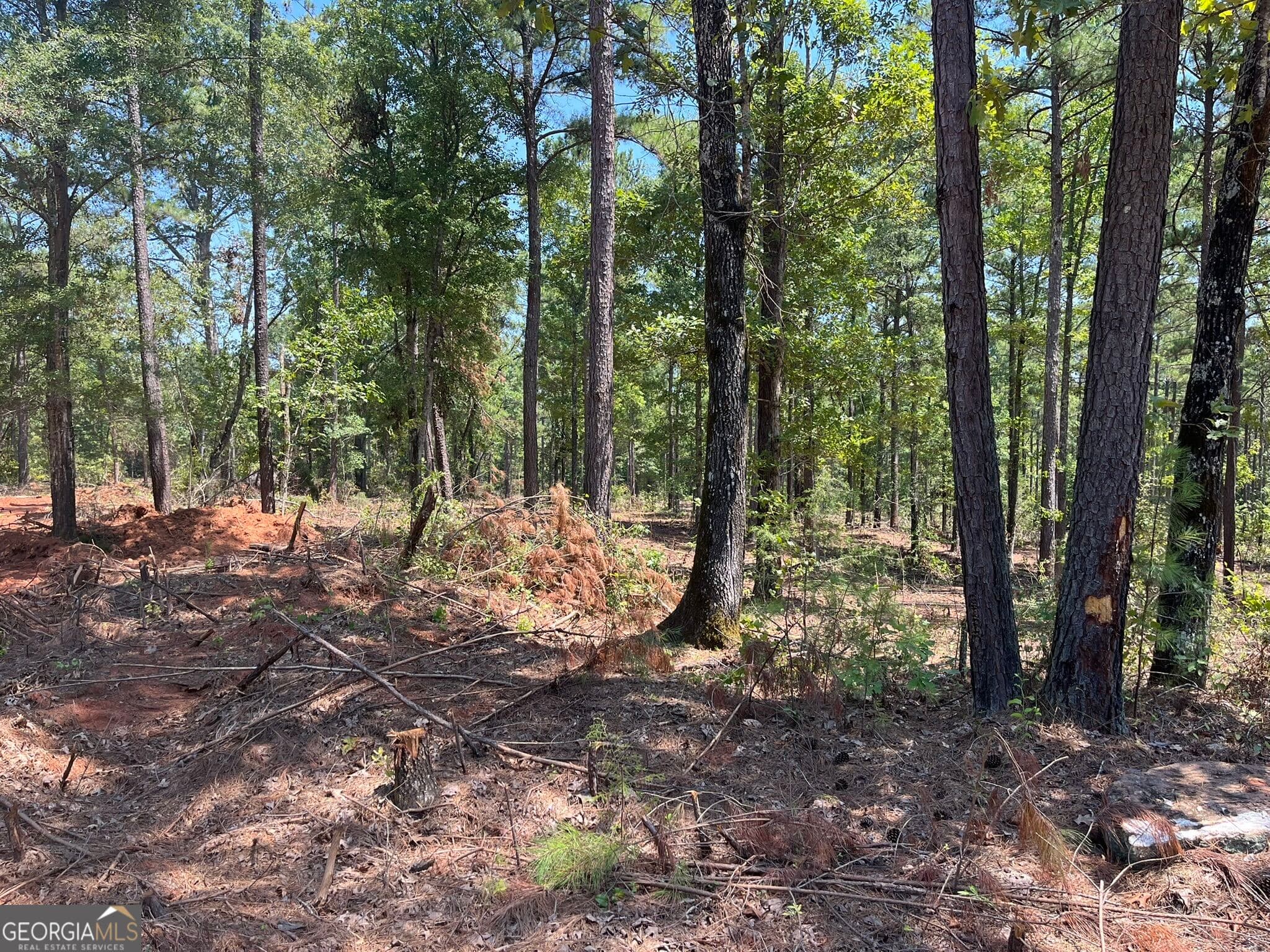 residential lot for sale at LOT 22 Gordon Road, Forsyth, GA 31029 — photo 3