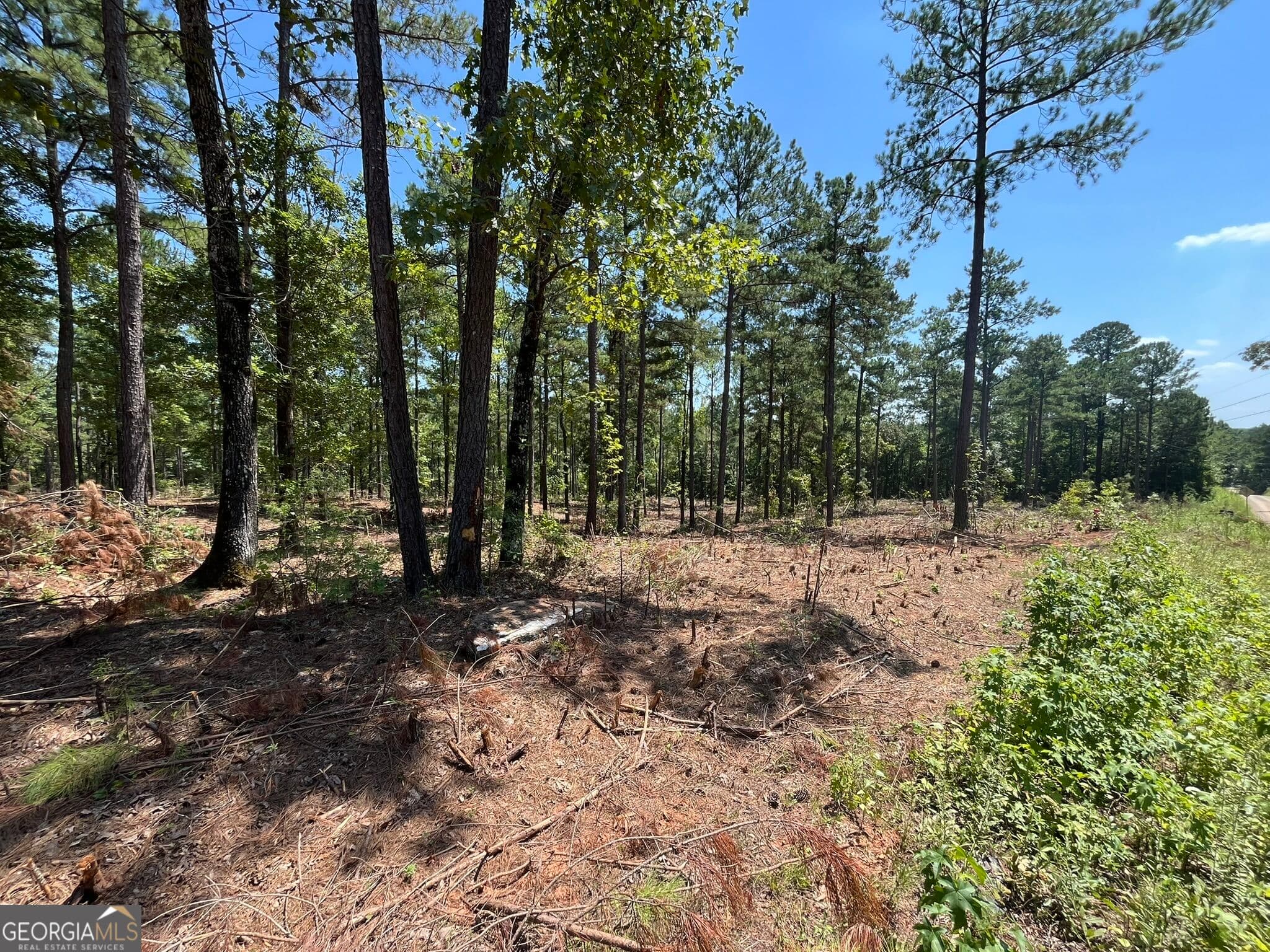 residential lot for sale at LOT 22 Gordon Road, Forsyth, GA 31029 — photo 1 of 4