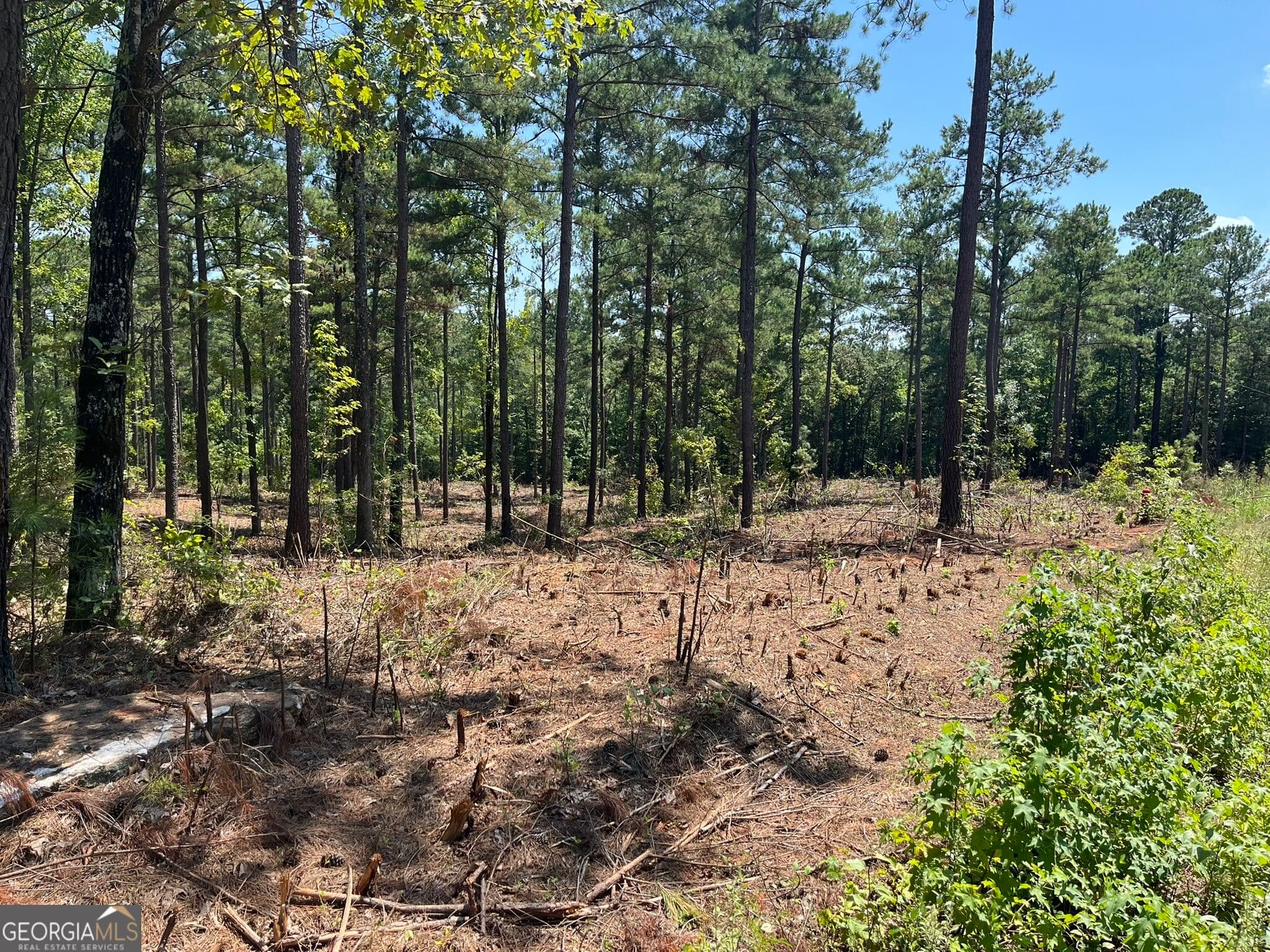residential lot for sale at LOT 22 Gordon Road, Forsyth, GA 31029 — photo 4