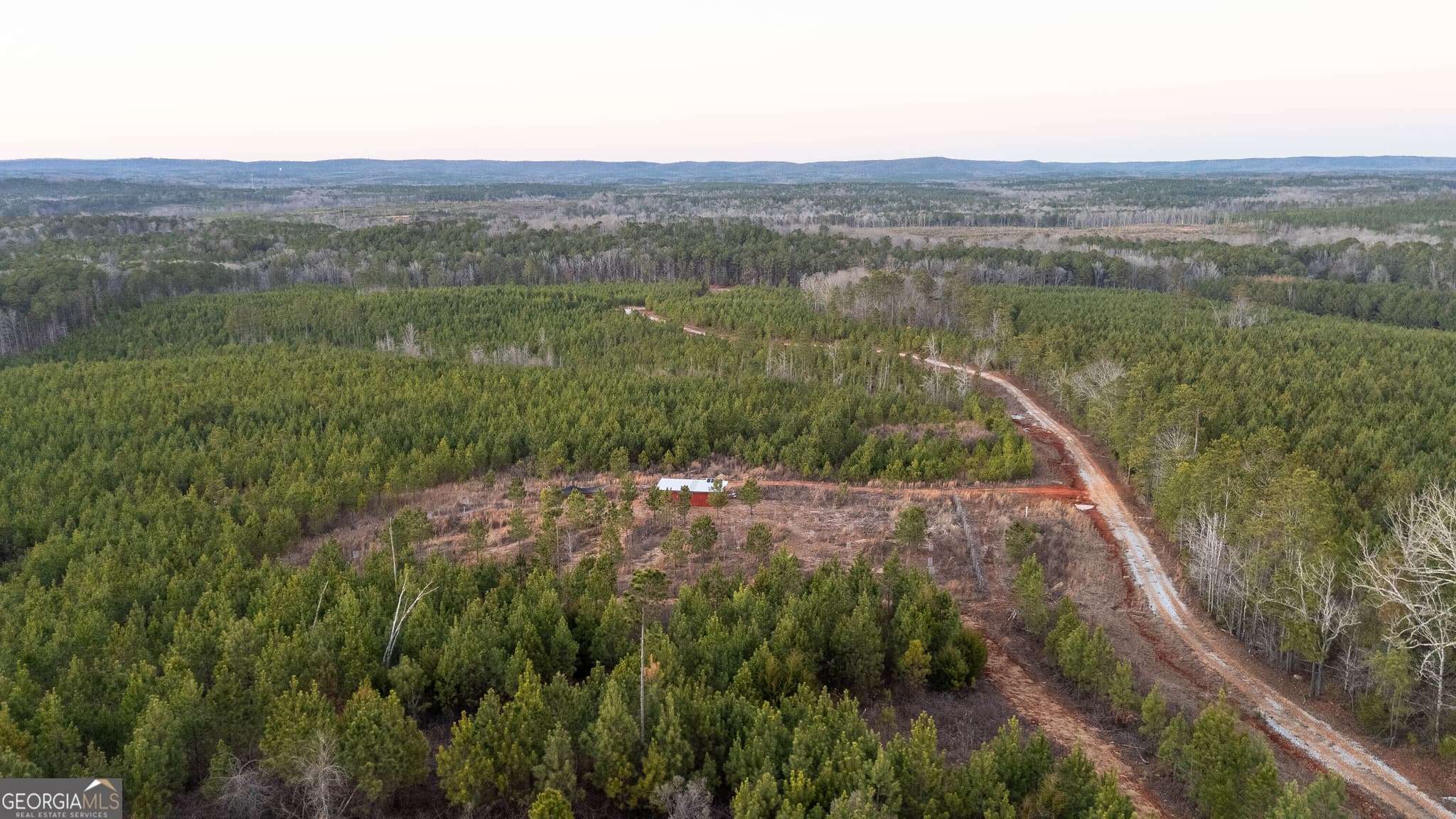 agriculture for sale at 723 Brown Creek Road, Shiloh, GA 31826 — photo 2