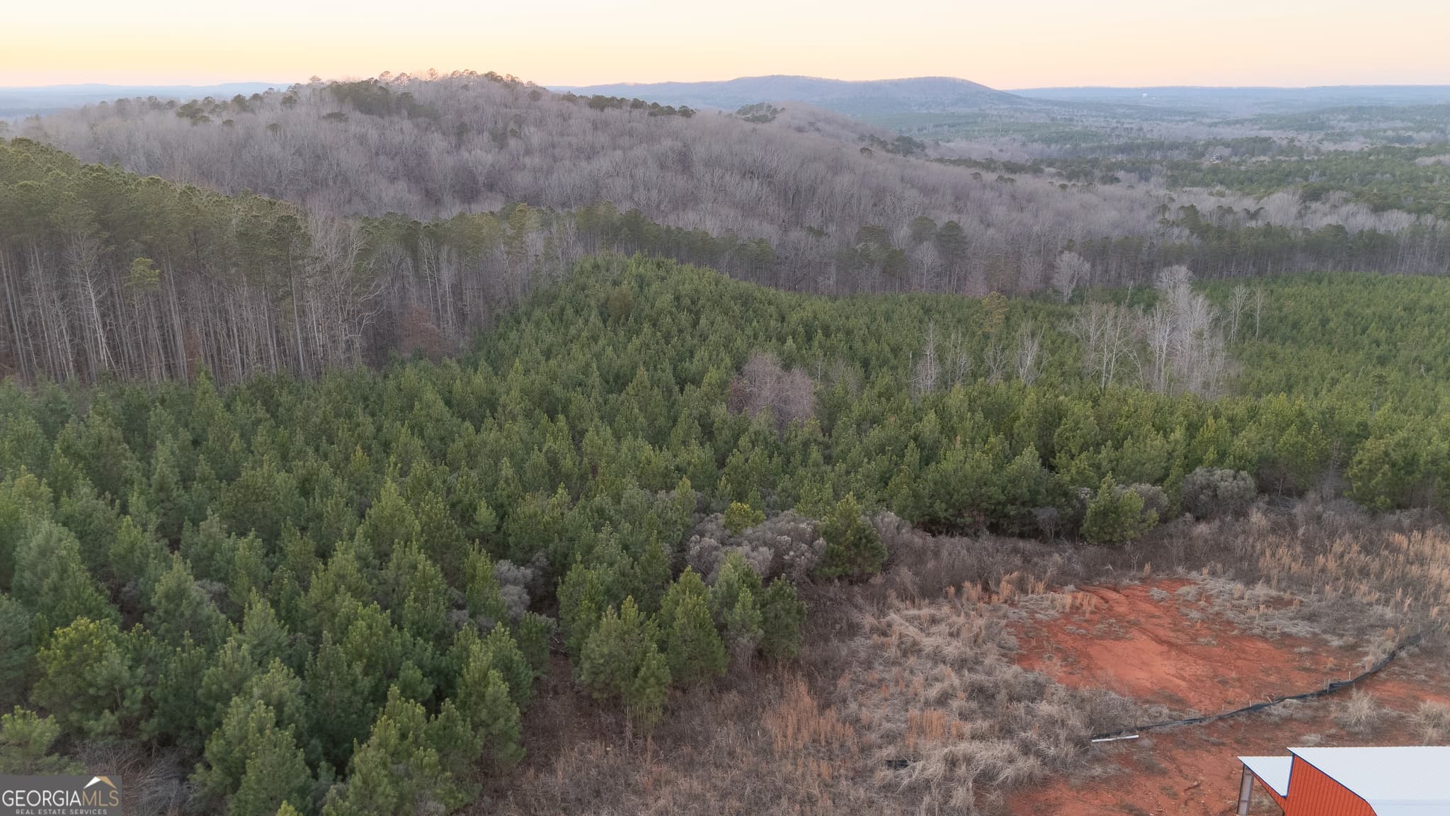 agriculture for sale at 723 Brown Creek Road, Shiloh, GA 31826 — photo 6