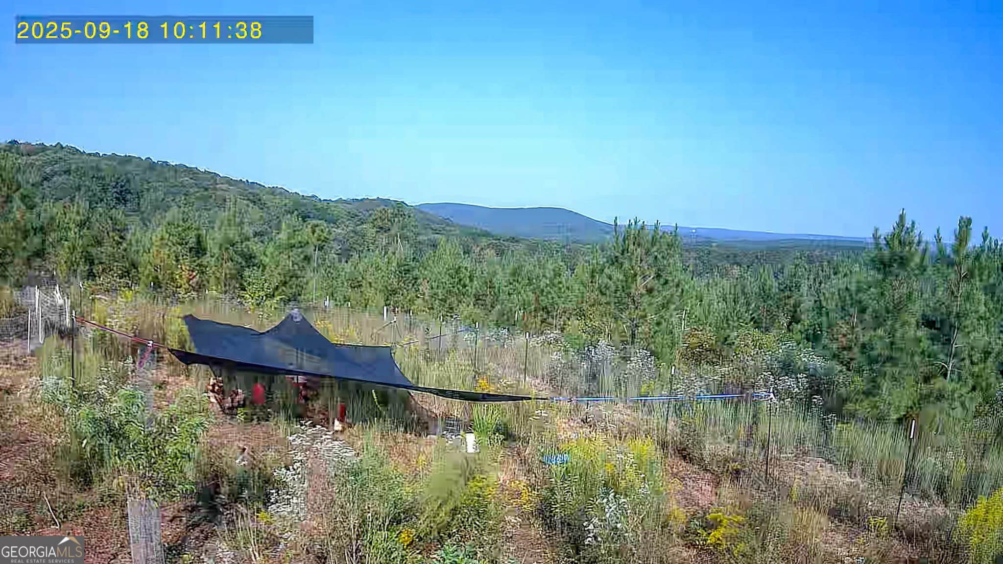 agriculture for sale at 723 Brown Creek Road, Shiloh, GA 31826 — photo 3